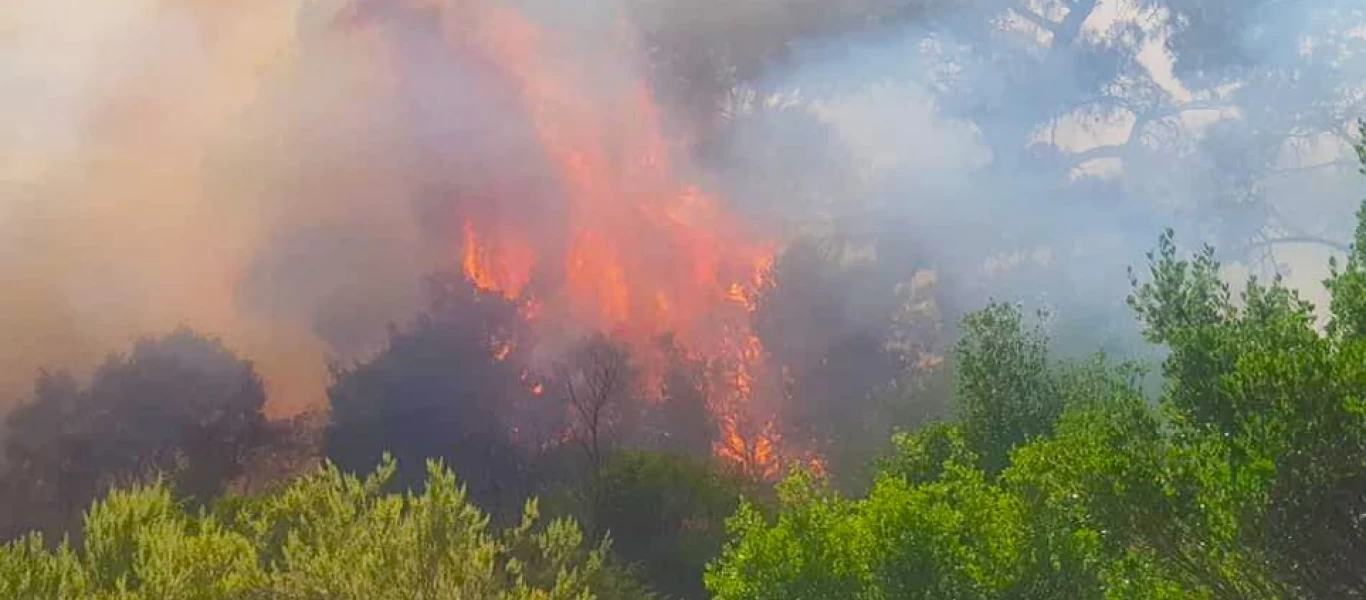 Μεγάλη πυρκαγιά στον Έβρο - Εκκενώθηκε η Λευκίμη